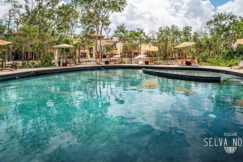 Private Rooftop Penthouse With Pool, Bbq & Jungle View Apartment Tulum 0*,  Mexico