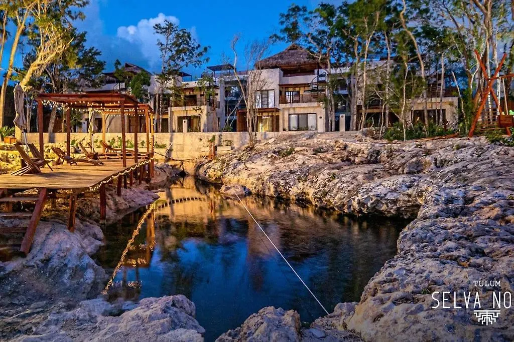 Private Rooftop Penthouse With Pool, Bbq & Jungle View Apartment Tulum 0*,  Mexico