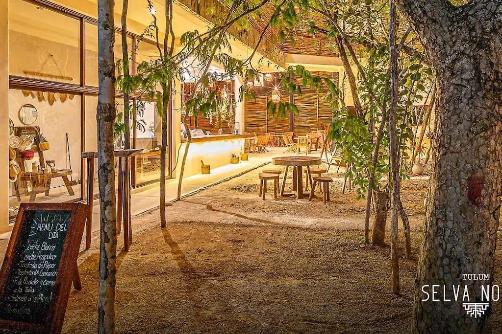 Private Rooftop Penthouse With Pool, Bbq & Jungle View Apartment Tulum