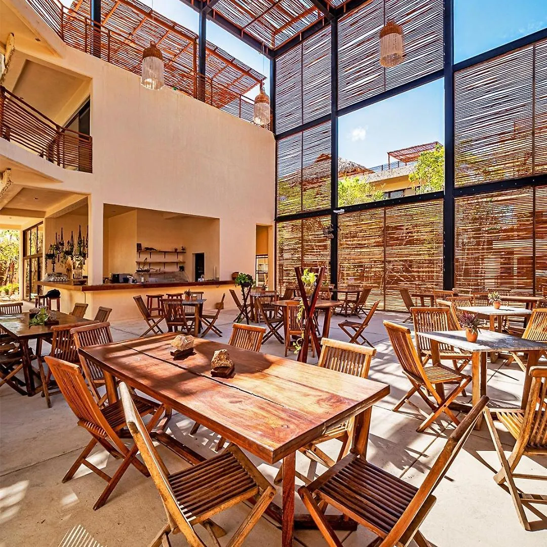 Private Rooftop Penthouse With Pool, Bbq & Jungle View Apartment Tulum