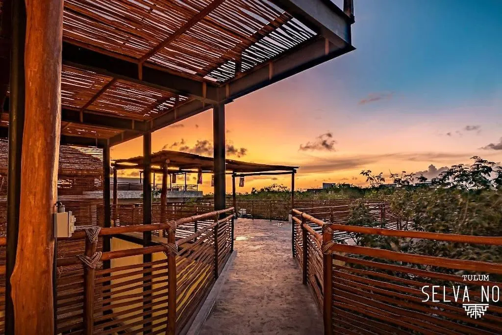 Private Rooftop Penthouse With Pool, Bbq & Jungle View Apartment Tulum Mexico